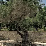 Charming In Agrilia With Private Pool فيلة