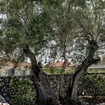 Charming In Agrilia With Private Pool Laganas