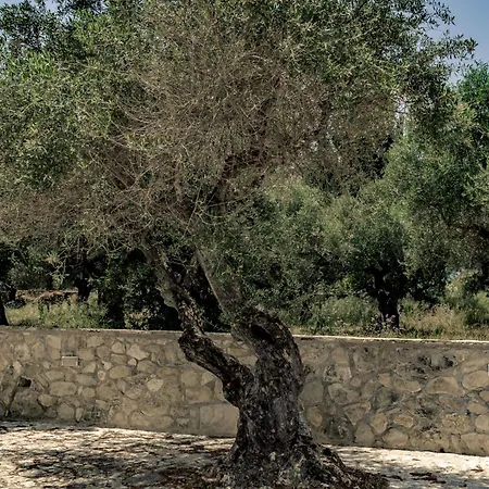 Charming In Agrilia With Private Pool Vila