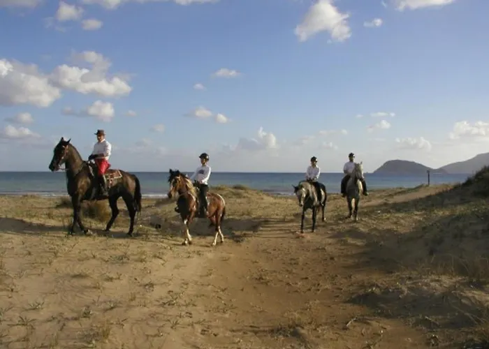 Villa Charming In Agrilia With Private Pool Laganas