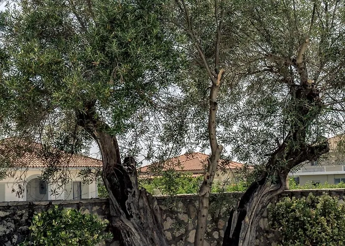 Charming In Agrilia With Private Pool Laganas